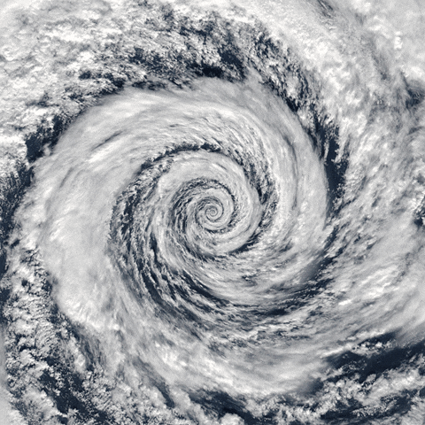 Cyclone